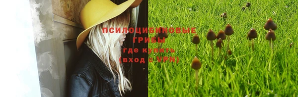 трава Балахна