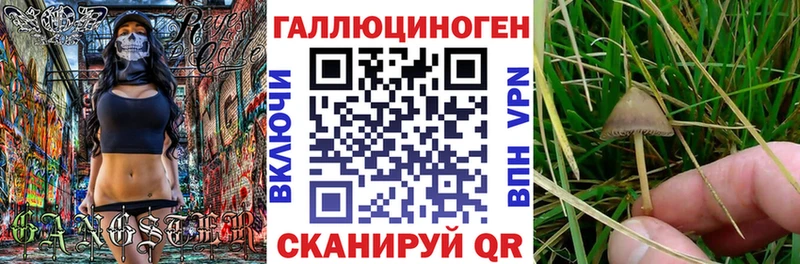 Псилоцибиновые грибы Magic Shrooms  Борзя 